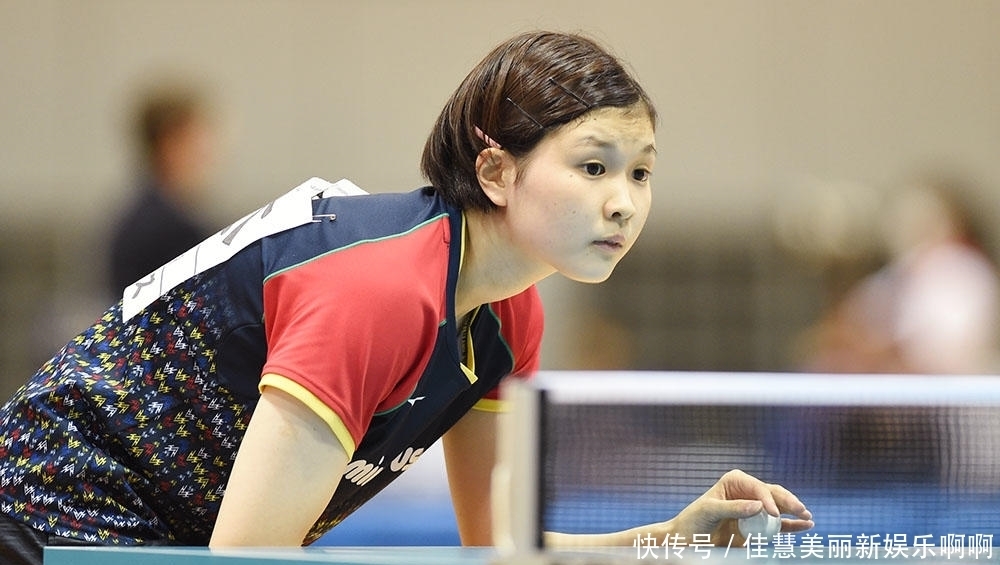 网队官宣了 网队官宣了